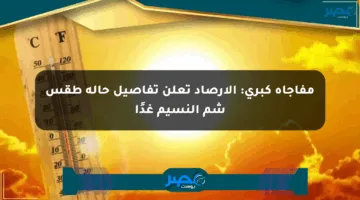 مفاجأة كبرى: الأرصاد تعلن تفاصيل حالة طقس شم النسيم غدًا